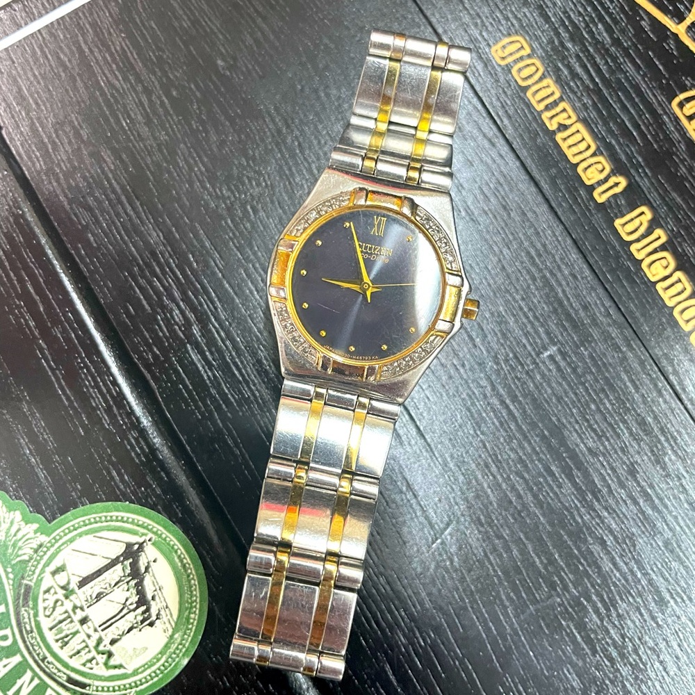 Citizen Eco watch